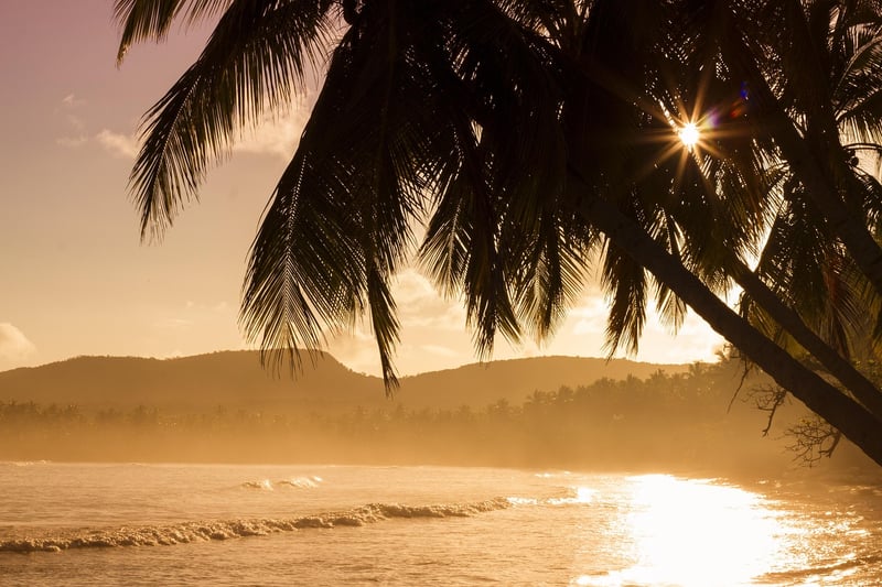 Tropical Landscape